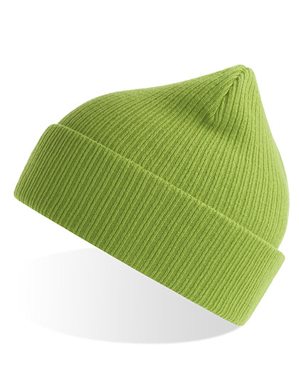 Nelson Beanie - Blattgrün